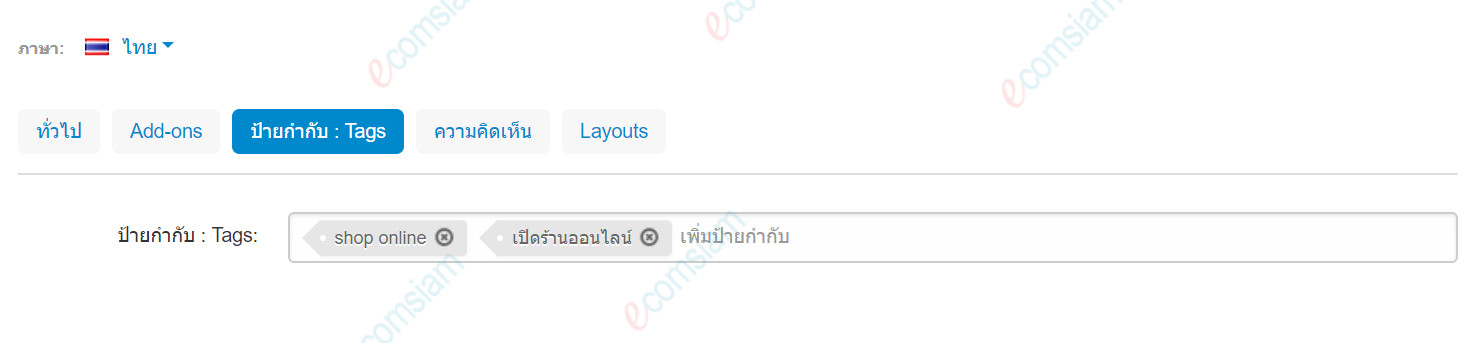 เว็บไซต์สำเร็จรูปไทย - คู่มือร้านออนไลน์ - การจัดการร้านออนไลน์-blog บล็อก ใส่ Tags หรือป้ายกำกับ 
