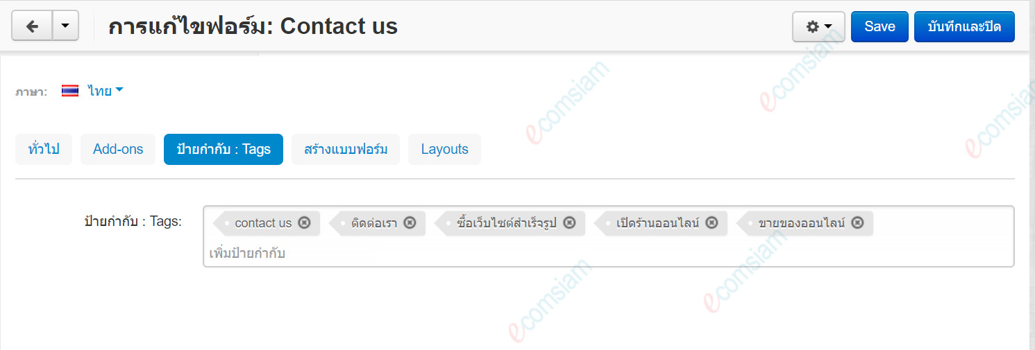 เว็บไซต์สำเร็จรูปไทย - คู่มือร้านออนไลน์ - การจัดการร้านออนไลน์ -เว็บเพจ pages -แท็ปแท็ก tags