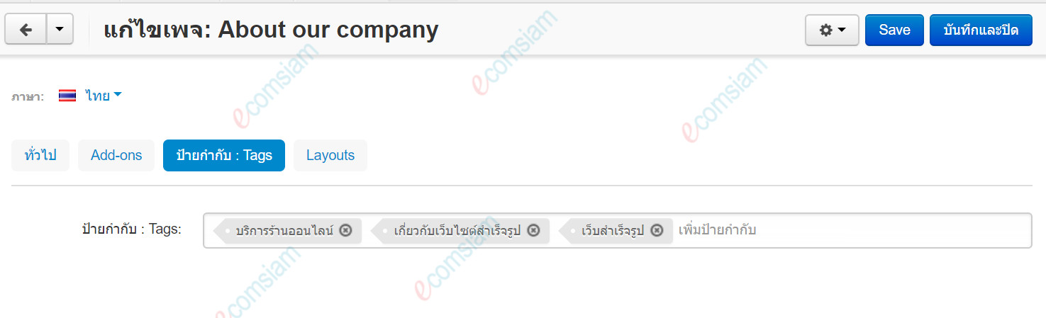เว็บไซต์สำเร็จรูปไทย - คู่มือร้านออนไลน์ - การจัดการร้านออนไลน์ -เว็บเพจ pages -แท็ปแท็ก tags
