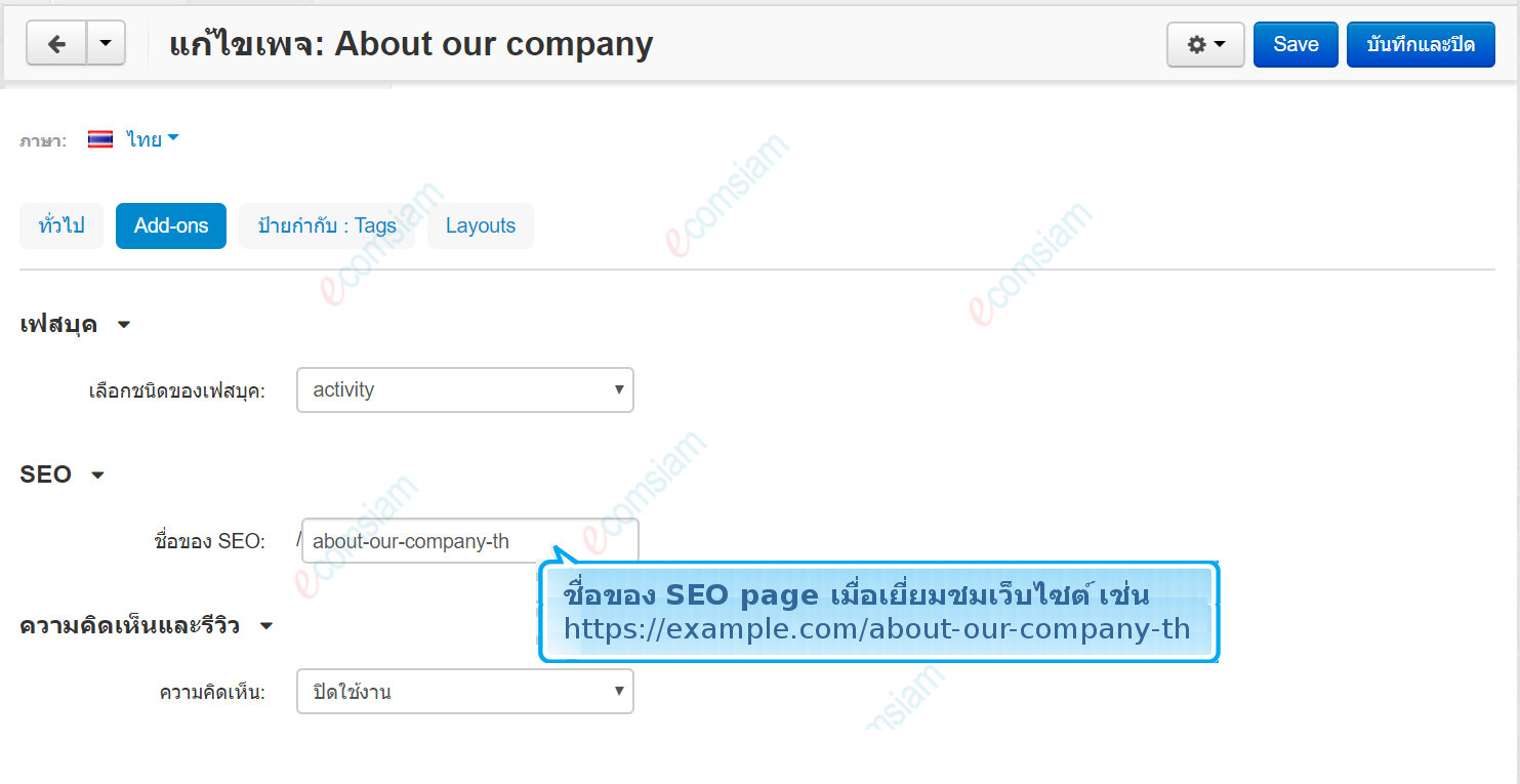 เว็บไซต์สำเร็จรูปไทย - คู่มือร้านออนไลน์ - การจัดการร้านออนไลน์ -เว็บเพจ pages -แท็ปแท็ก add ons
