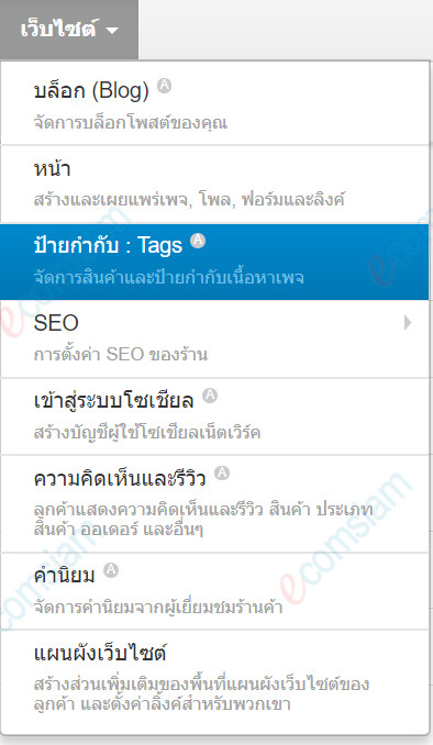 เว็บไซต์สำเร็จรูปไทย - คู่มือร้านออนไลน์ - การจัดการร้านออนไลน์ -เว็บไซต์ ป้ายกำกับ tags